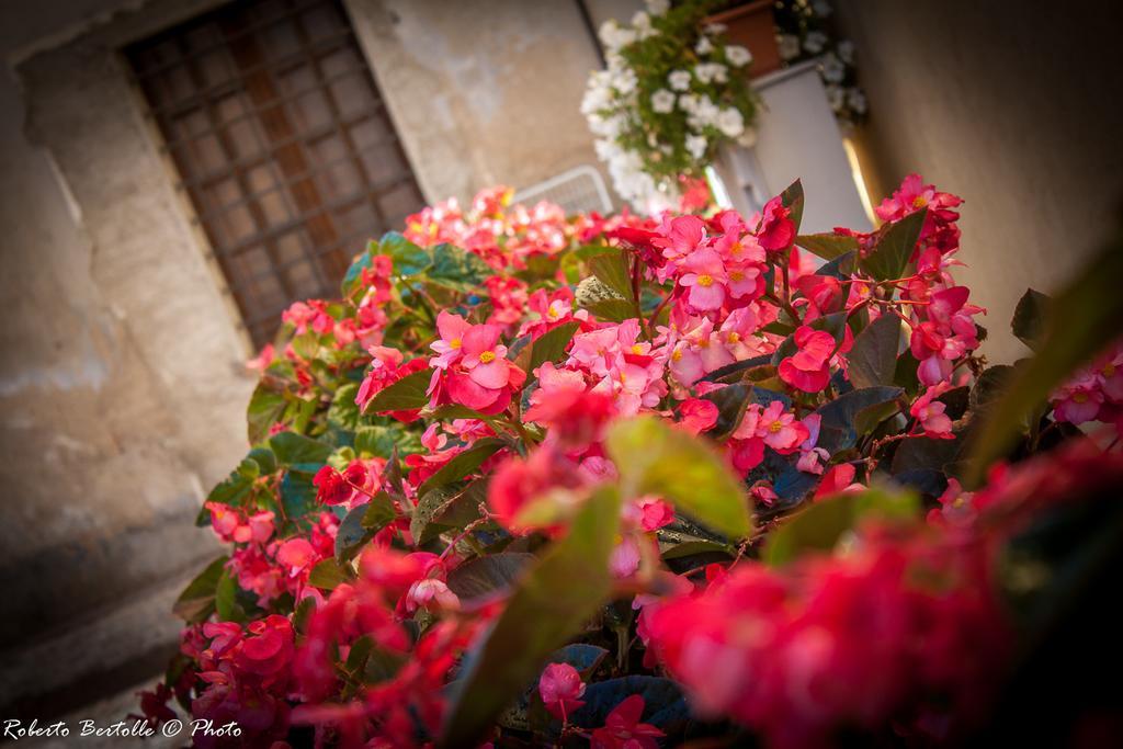 Bed and Breakfast Torre Della Botonta Castel Ritaldi Екстер'єр фото
